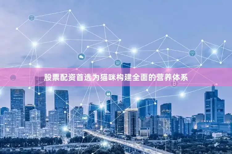 股票配资首选为猫咪构建全面的营养体系