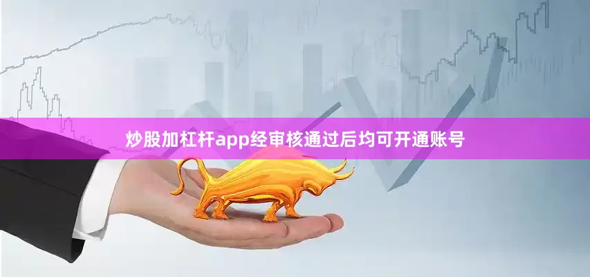 炒股加杠杆app经审核通过后均可开通账号