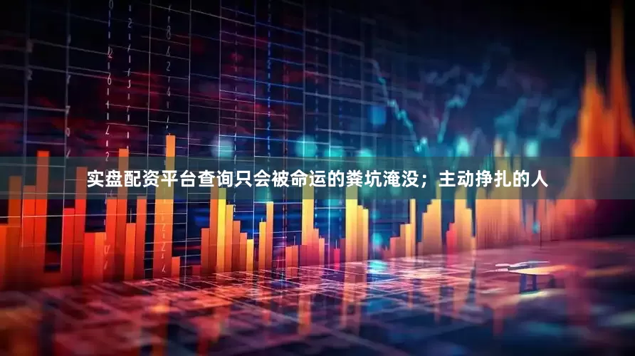 实盘配资平台查询只会被命运的粪坑淹没；主动挣扎的人